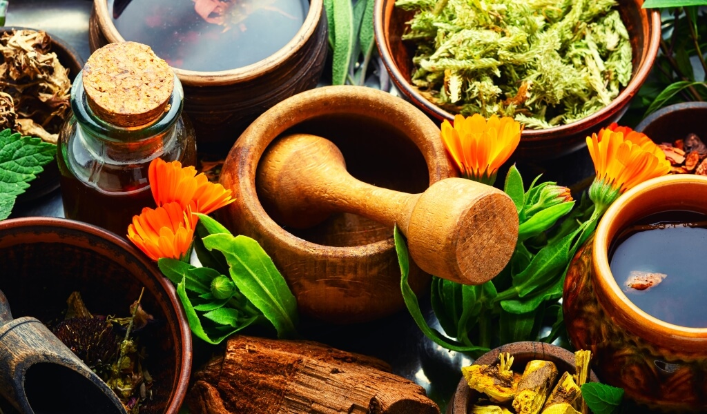 Plantas em Cosméticos Naturais