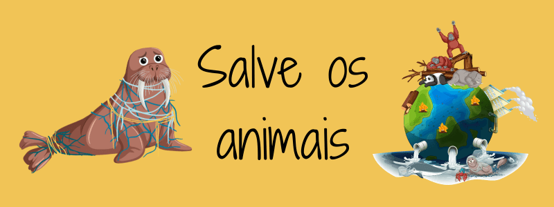 Bucha Vegetal e Seus Benefícios