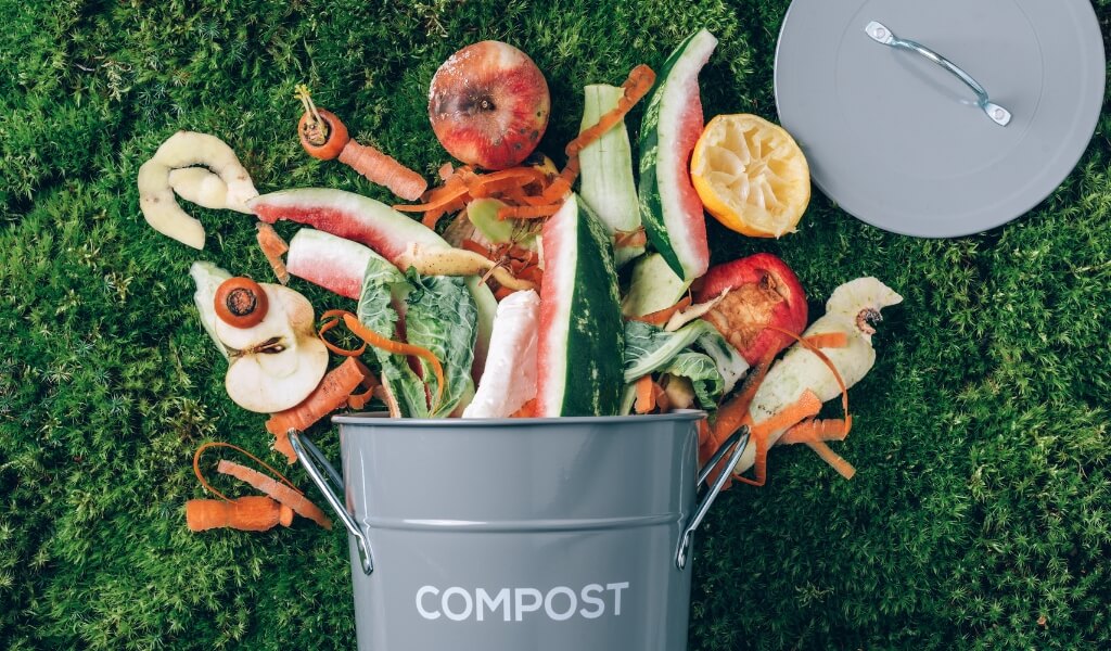 O Papel Pode Virar Compostagem?